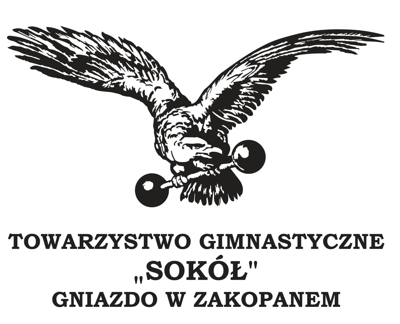Logo Towarzystwo Gimnastyczne 